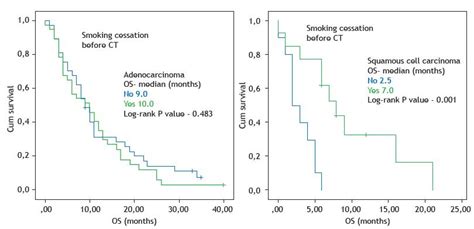 scielo brasil smoking cessation before initiation of chemotherapy in metastatic non small