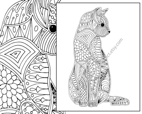 cat coloring page advanced coloring page adult coloring