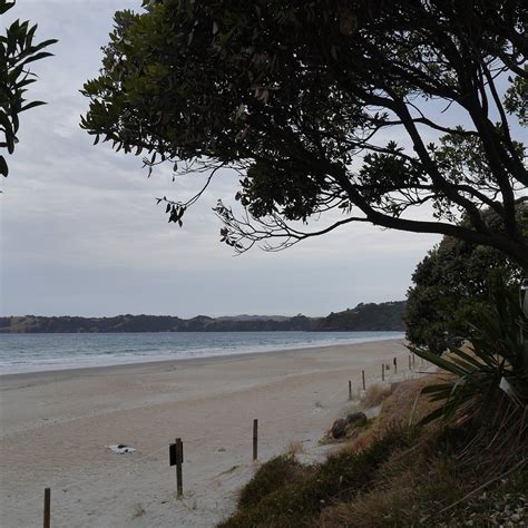 Onetangi Beach Waiheke Eiland 2022 Alles Wat U Moet Weten Voordat