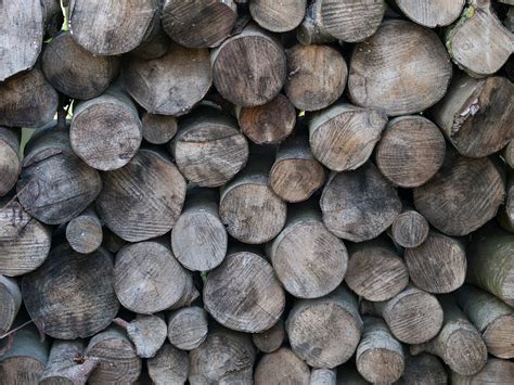 Wooden Logs texture | Wooden logs texture PERMISSION TO USE:… | Flickr