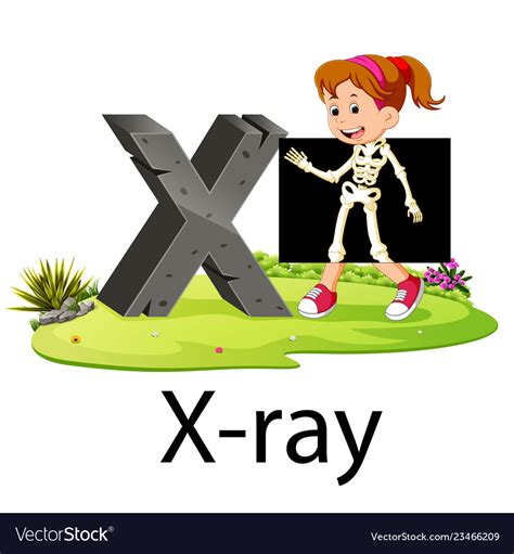 Alphabet X For X Ray With Good Animation Vector Image