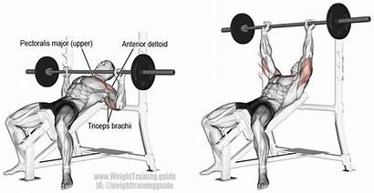Incline Bench Press Barbell Guide Exercises Weight