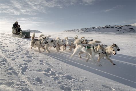 画像6枚目： グリーンランド イルリサット・アイスフィヨルド はデンマークが誇る絶景の世界遺産｜ Taptrip