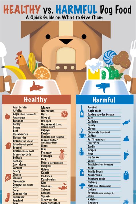 Healthy And Harmful Food For Dogs Cityleash Dog Food Recipes