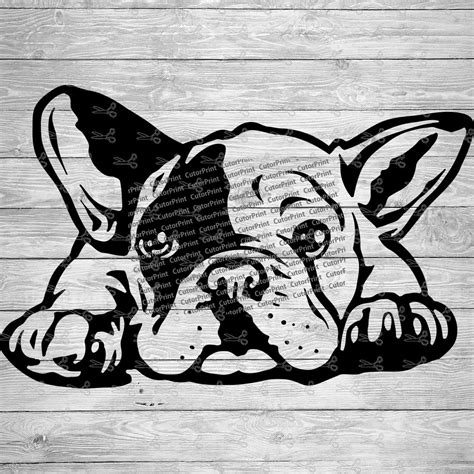 French Bulldog 2 SVG,EPS & PNG Files - Digital Download files for