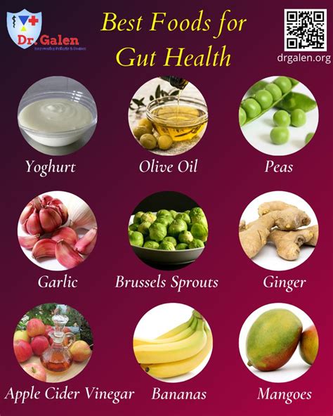 Best Foods For Gut Health Gut Health Recipes Gut Health Food