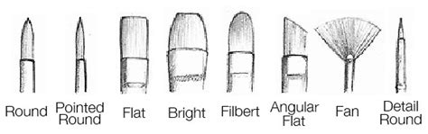 Paintbrushes For Acrylics Beginners Guide Explaining Shapes Sizes