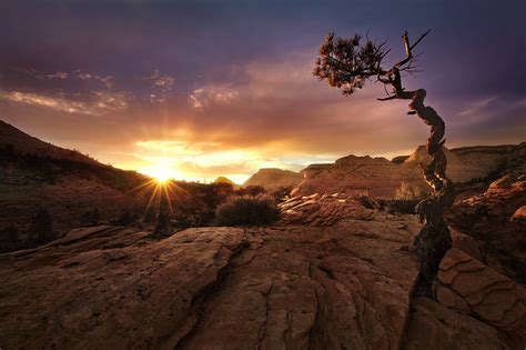 Hd Wallpaper Desert Sunset Landscape Trees Nature Fall Zion