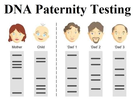 When Is The Best Time To Take A Paternity Test