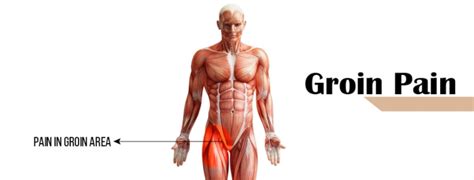 Groin Pain Diversified Integrated Sports Clinic