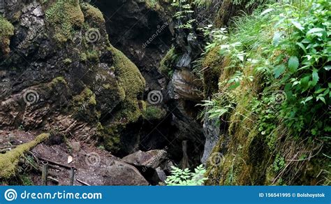 Gorge In Rock Overgrown With Moss And Grass Stock Footage Small Cleft