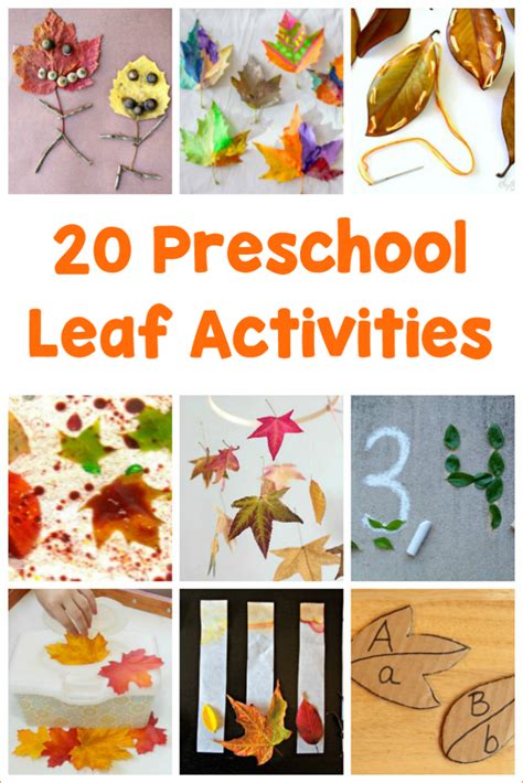Here Are 20 Preschool Leaf Activities Sure To Wow Preschool Leaves