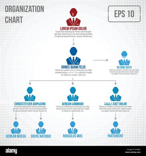 Organizational Chart Infographic Business Hierarchy Boss To Employee Structure Vector
