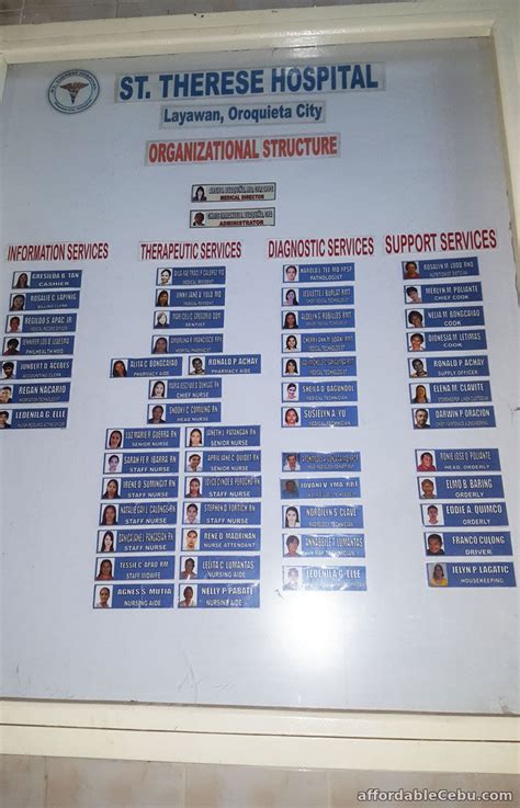 Hospital Organizational Chart Sample Business 30434