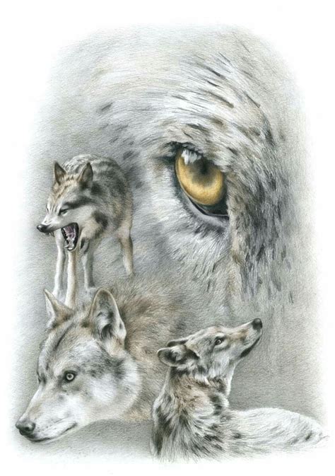 Three Wolfs With Yellow Eyes Are Shown In This Drawing