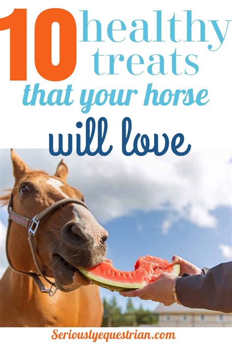 8 Healthy Horse Treats That Your Horse Will Love Seriously Equestrian