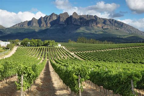Cape Town Winelands In All Its Splendour Photos