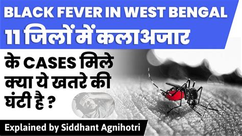 Kala Azar Or Black Fever Disease Detected In West Bengal YouTube