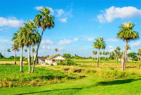 Tranquil Rural Landscape Small On Cuba Stock Image Image Of Blue
