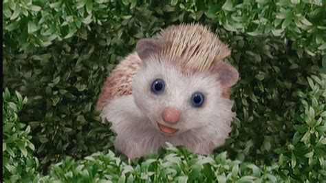 Watch The Wonder Pets E Kids Show Episode 151 Save The Hedgehog