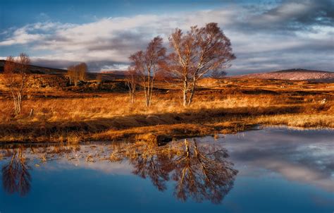 Wallpaper Trees The Wind Scotland Rannoch Moor Rannoch Moor Images