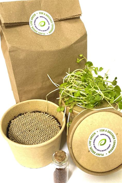 Microgreens Grow Kit Grow Kits Seeds Plantshopme
