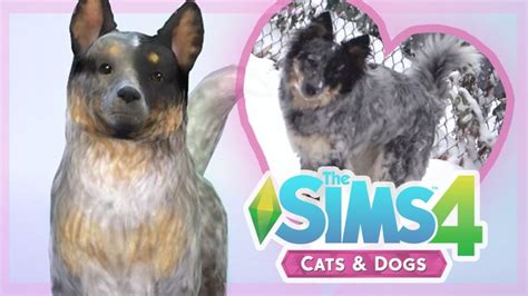 The Sims 4 Create A Pet In 2021 Sims Pets Sims 4 Pets Dog Cat