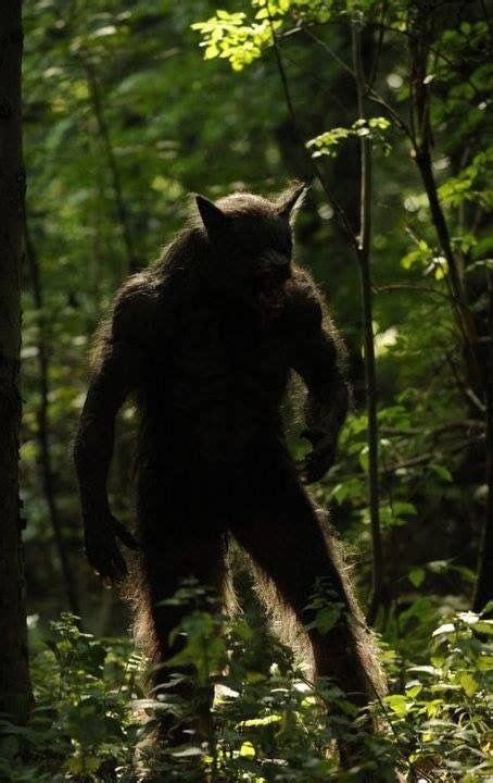 Dogman Real Werewolf Bigfoot Photos Werewolf
