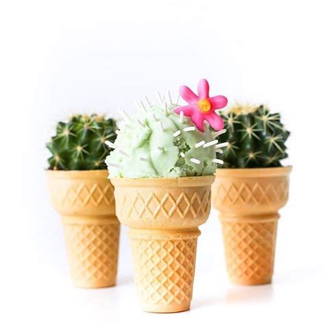Friday Find Cactus Ice Creamrg Studiodiy So My Obsession With All