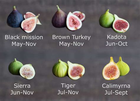 Figs Benefits For Health And Body Skin And Hair Nutrition Facts Of