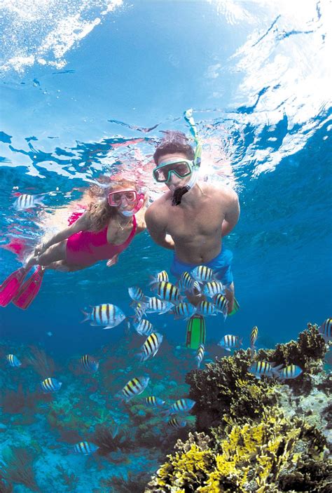 Snorkeling Stuart Coves Bahamas Dive Shop And Tours