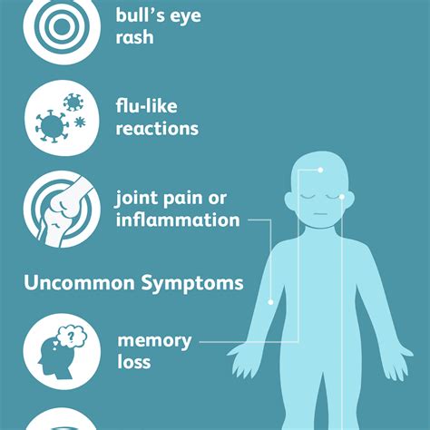 Lyme Disease Signs Symptoms And Complications