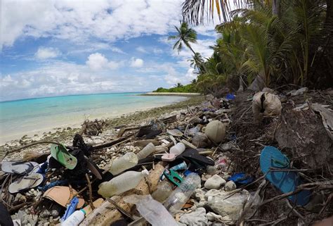 Beach Cleanups Are Missing Millions Of Pieces Of Plastic