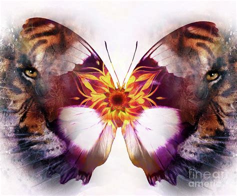 Portrait Tiger And Butterfly Computer Collage Color Abstract