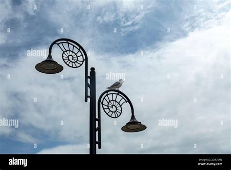 Lamp Post And Ammonite Hi Res Stock Photography And Images Alamy
