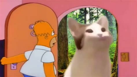 Pop Cat Meme Compilation🙀🥺 Youtube