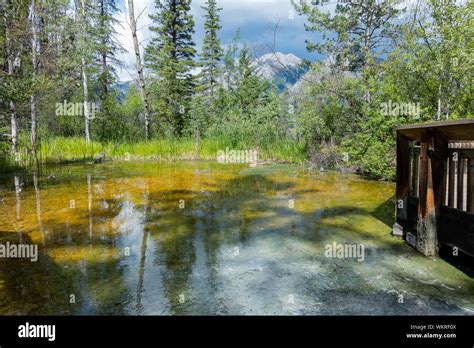 Marsh Loop Trail In Cave And Basin National Historic Site At Banff