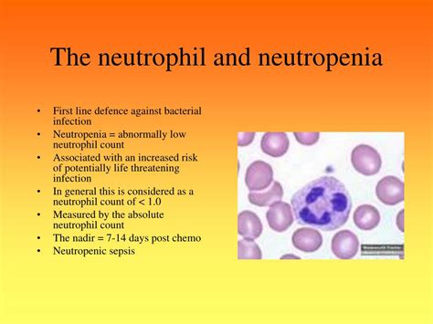 Ppt Neutropenic Sepsis Powerpoint Presentation Id228682