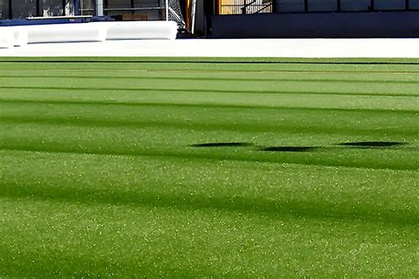 Infill For Artificial Turf Ensuring You Use The Right Infill For Your