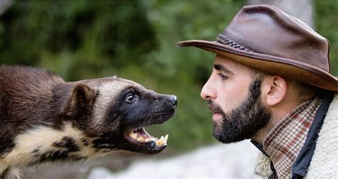 10 Times Coyote Peterson Experienced Painful Stings and Bites for Your