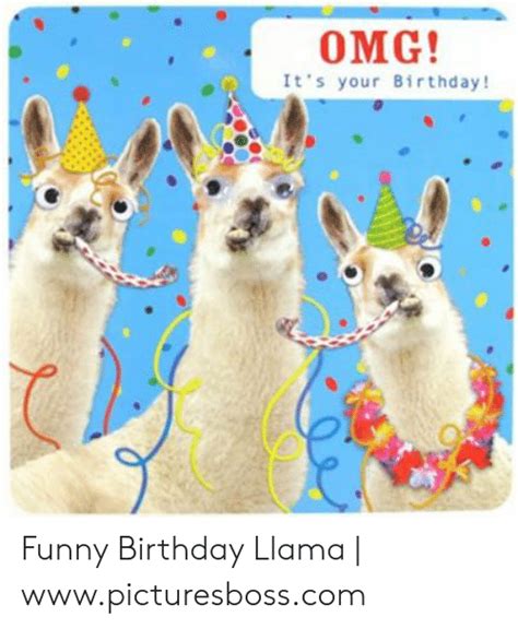 Omg Its Your Birthday Funny Birthday Llama Picturesbosscom