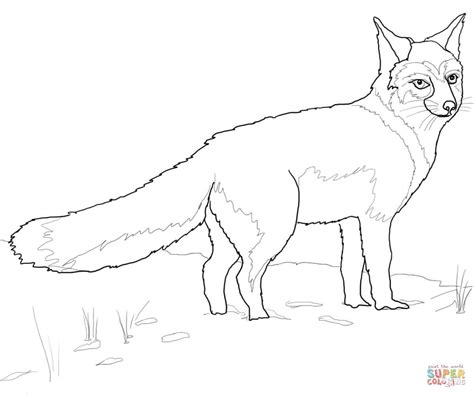 Swift Fox Coloring Page Free Printable Coloring Pages