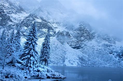 Winter Mountain Landscape Icy Lake In Winter Snowy Forest Stock Image
