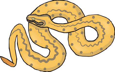 Free Snakes Cliparts Download Free Snakes Cliparts Png Images Clip
