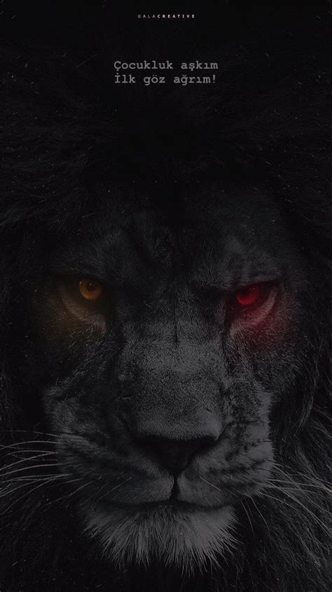 Galatasaray için hazırlanmış, siyah, sarı ve kırmızı renklerinin kullanıldığı arkaplan resmi. yç tarafından galatasaray panosundaki Siyah aslan ...