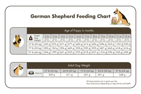 We did not find results for: Best Dog Food for German Shepherd 2021 - Reviews and ...