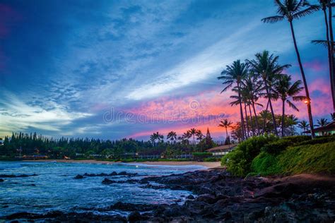 Pink Sunrise Napili Bay Maui Hawaii Stock Image Image Of Palm