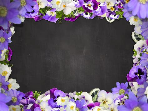 Beautiful Floral Border With Purple Flowers Free Background Nature