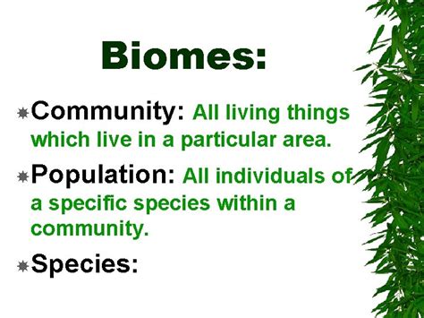 Biomes How Do Biomes Affect Life Forms Biomes