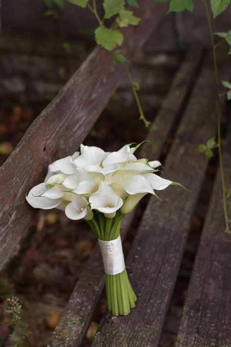 Bridal Bouquet Of White Calla Lily Wedding Minimalist Flowers Wedding